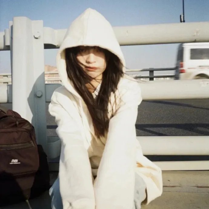 文豪野犬剧场版