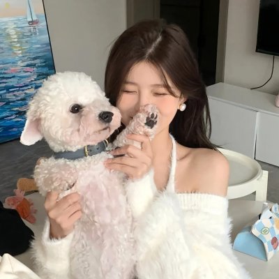 银狐传说